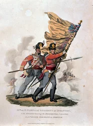 9th, or E Norfolk Regiment of Infantry, från "Costumes of the Army of the British Empire, according to the last regulations 1812", graverad av J.C. Stadler, utgiven av Colnaghi und Co. 1812-15 (färg).